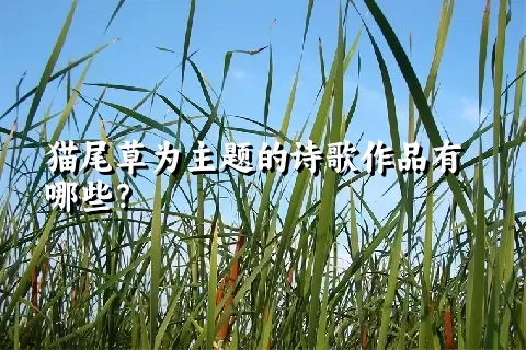 猫尾草为主题的诗歌作品有哪些？