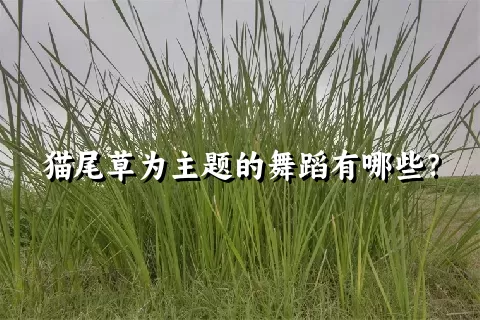 猫尾草为主题的舞蹈有哪些？