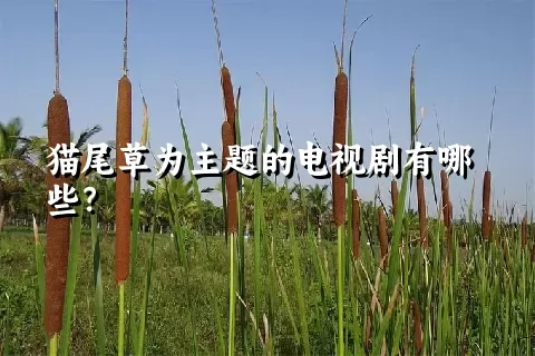 猫尾草为主题的电视剧有哪些？
