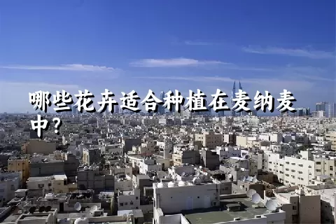 哪些花卉适合种植在麦纳麦中？