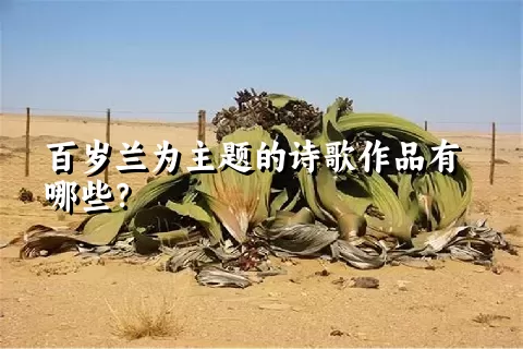 百岁兰为主题的诗歌作品有哪些？