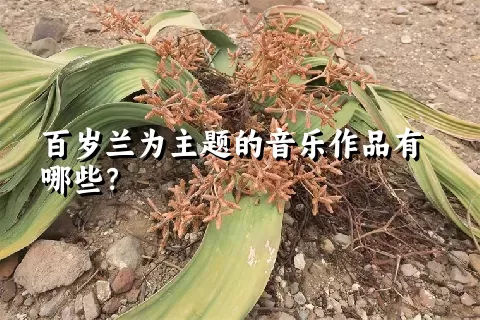 百岁兰为主题的音乐作品有哪些？
