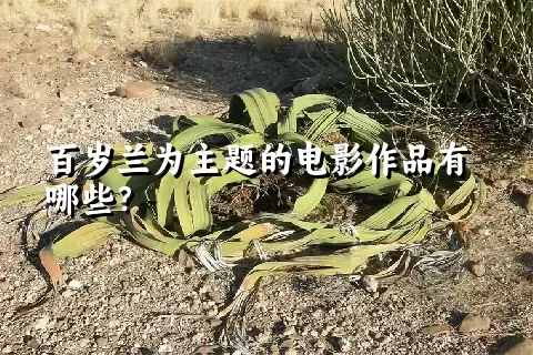 百岁兰为主题的电影作品有哪些？