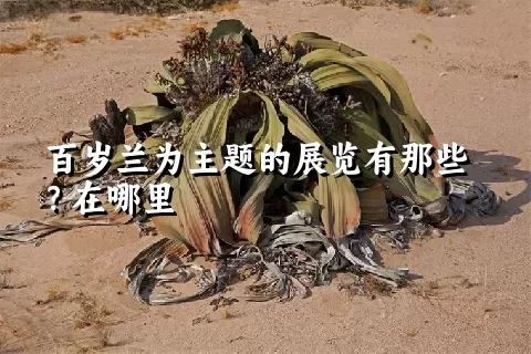 百岁兰为主题的展览有那些？在哪里