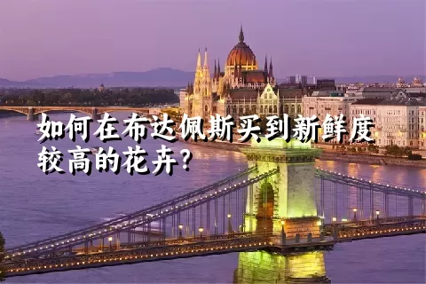 如何在布达佩斯买到新鲜度较高的花卉？
