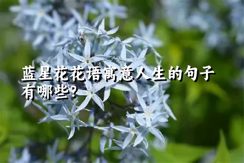 蓝星花花语寓意人生的句子有哪些？