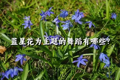 蓝星花为主题的舞蹈有哪些？