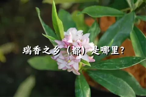 瑞香之乡（都）是哪里？