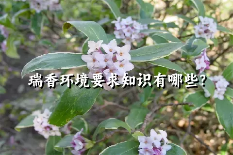 瑞香环境要求知识有哪些？