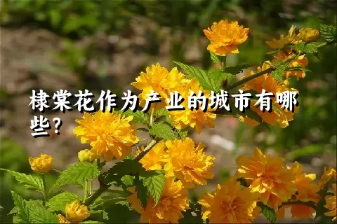 棣棠花作为产业的城市有哪些？