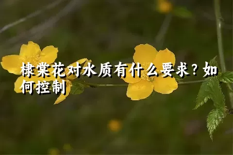 棣棠花对水质有什么要求？如何控制