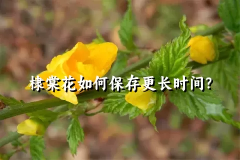棣棠花如何保存更长时间？