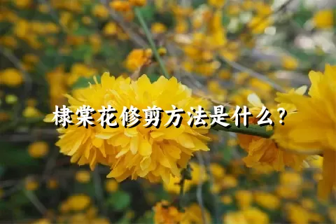 棣棠花修剪方法是什么？