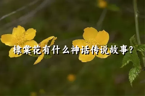 棣棠花有什么神话传说故事？