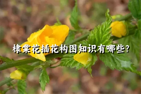 棣棠花插花构图知识有哪些？