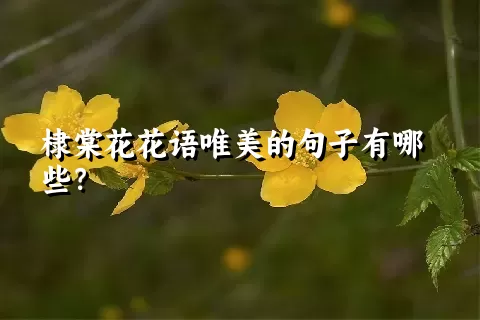 棣棠花花语唯美的句子有哪些？
