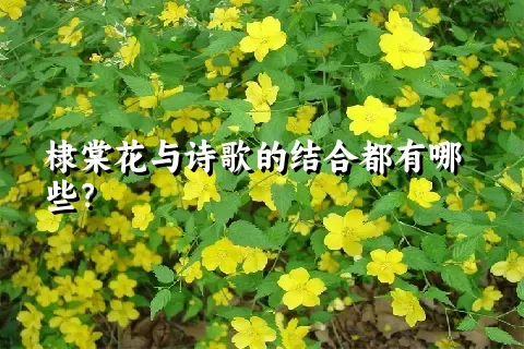 棣棠花与诗歌的结合都有哪些？