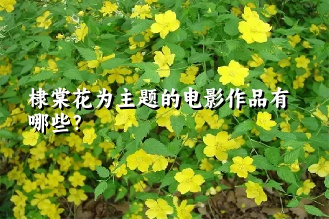 棣棠花为主题的电影作品有哪些？