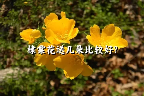 棣棠花送几朵比较好？