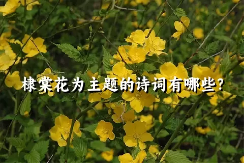 棣棠花为主题的诗词有哪些？