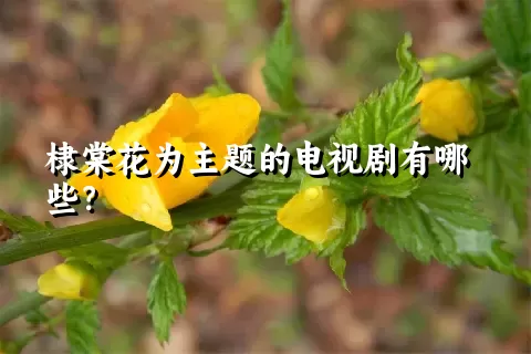 棣棠花为主题的电视剧有哪些？
