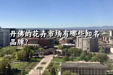 丹佛的花卉市场有哪些知名品牌？