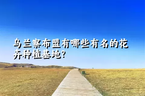 乌兰察布盟有哪些有名的花卉种植基地？