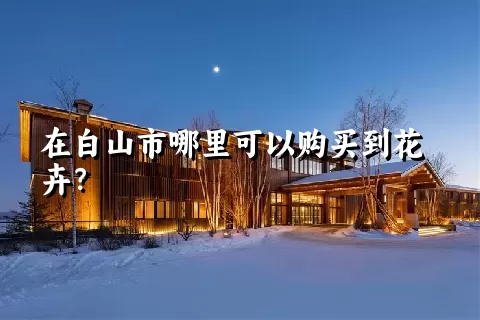 在白山市哪里可以购买到花卉？