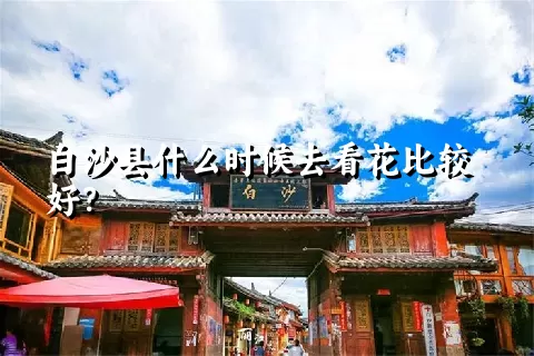 白沙县什么时候去看花比较好？
