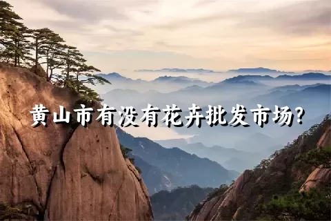 黄山市有没有花卉批发市场？