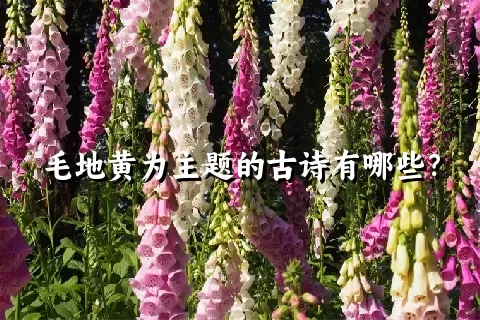 毛地黄为主题的古诗有哪些？