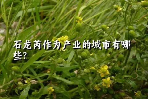 石龙芮作为产业的城市有哪些？
