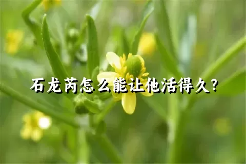 石龙芮怎么能让他活得久？