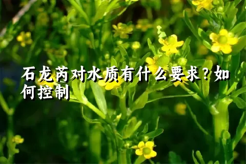 石龙芮对水质有什么要求？如何控制