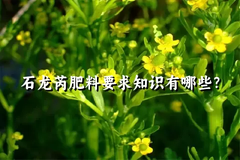 石龙芮肥料要求知识有哪些？