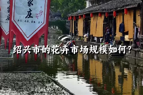 绍兴市的花卉市场规模如何？