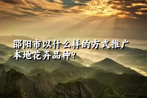 邵阳市以什么样的方式推广本地花卉品种？