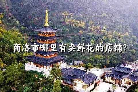 商洛市哪里有卖鲜花的店铺？