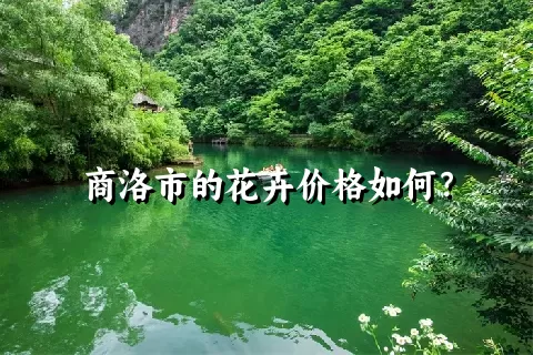 商洛市的花卉价格如何？