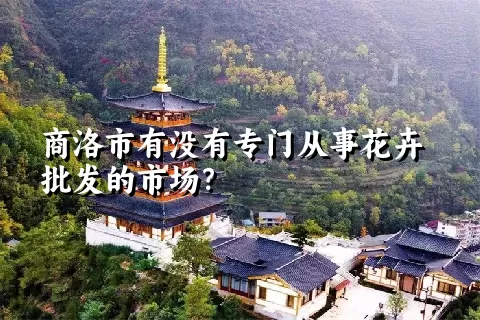 商洛市有没有专门从事花卉批发的市场？