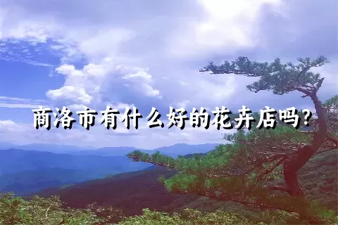 商洛市有什么好的花卉店吗？