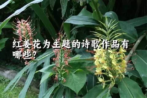红姜花为主题的诗歌作品有哪些？