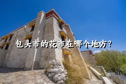 包头市的花市在哪个地方？