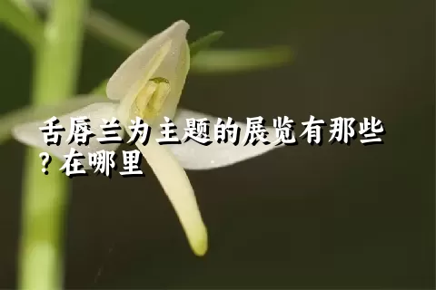 舌唇兰为主题的展览有那些？在哪里