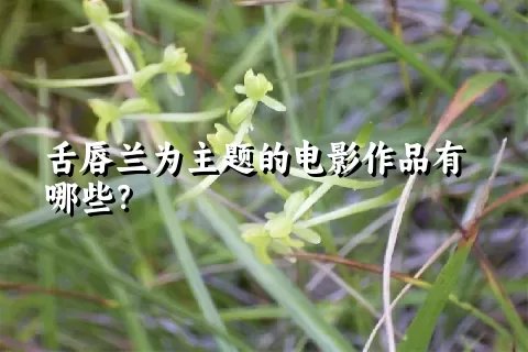 舌唇兰为主题的电影作品有哪些？