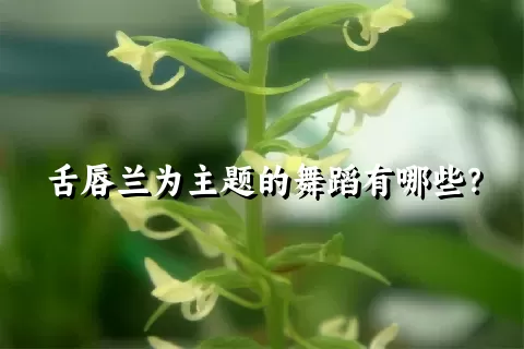 舌唇兰为主题的舞蹈有哪些？