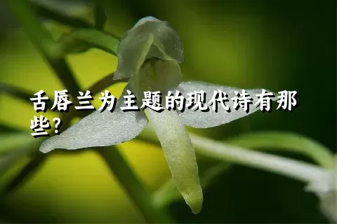 舌唇兰为主题的现代诗有那些？