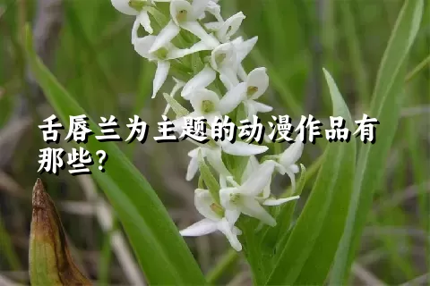 舌唇兰为主题的动漫作品有那些？