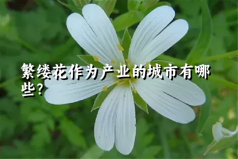 繁缕花作为产业的城市有哪些？