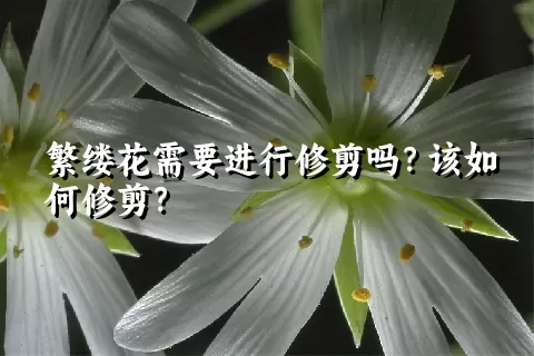 繁缕花需要进行修剪吗？该如何修剪？